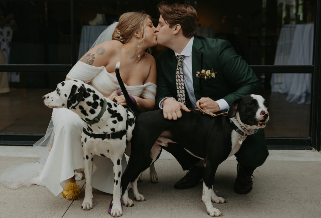 bride and groom kissing with their two dogs in front of them