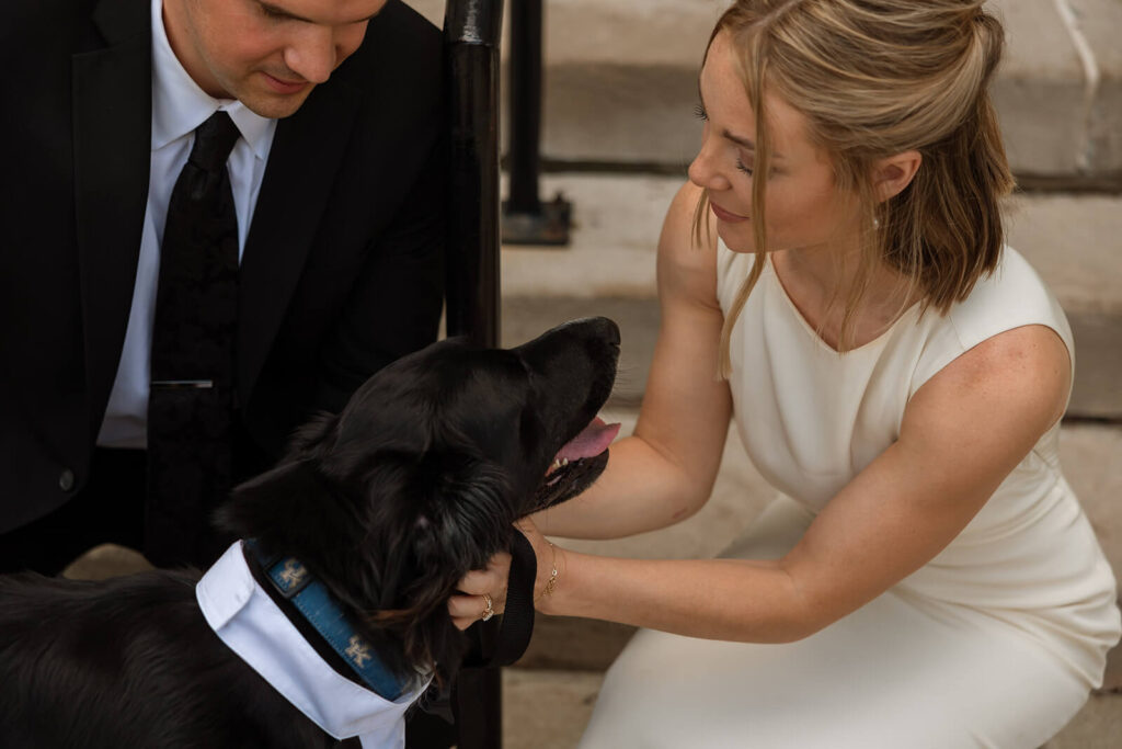 Bride and groom pet their dog on the steps of their courthouse wedding