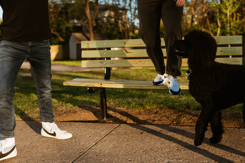 Engaged couple's Nike sneakers with poodle