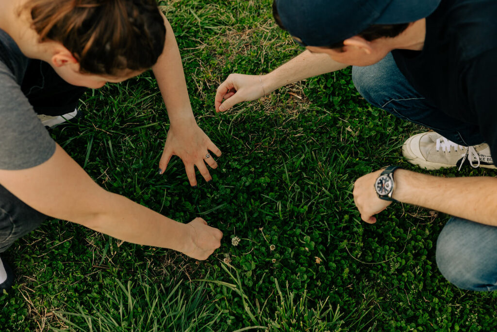 Couple searches for four leaf clover among the grass