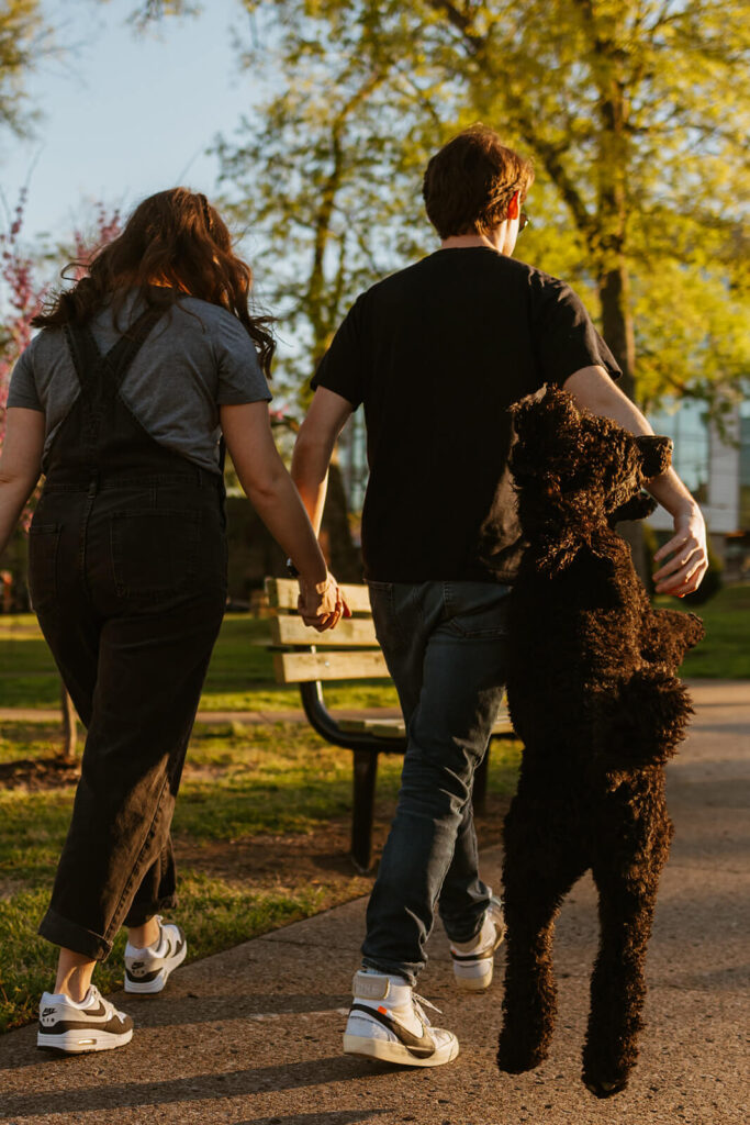 Poodle leaps to keep up with couple walking hand in hand