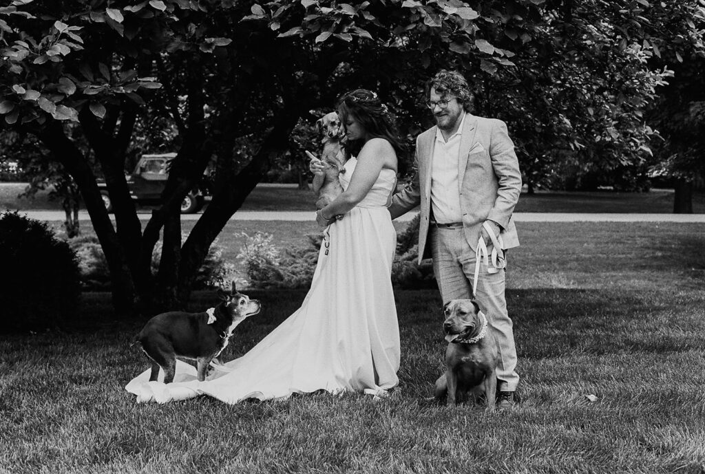 Bride, groom, and two dogs in a black-and-white portrait from their Tennessee backyard wedding