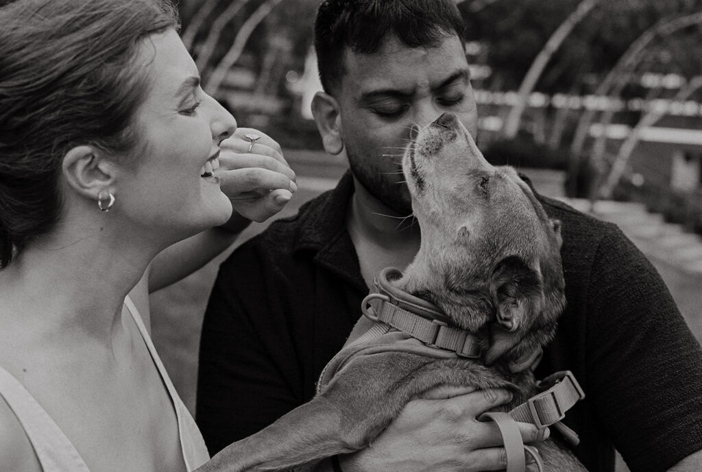 Bride laughing while dog licks groom’s face during playful candid Minneapolis engagement photography moment.