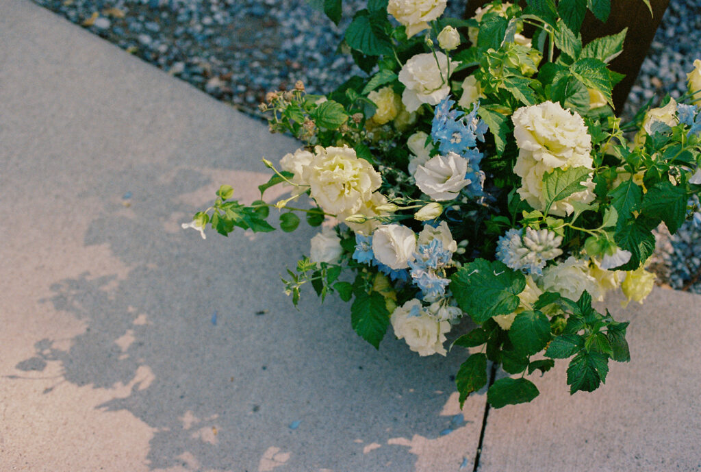 A cluster of pale flowers rests on the ground, their petals catching the afternoon light.