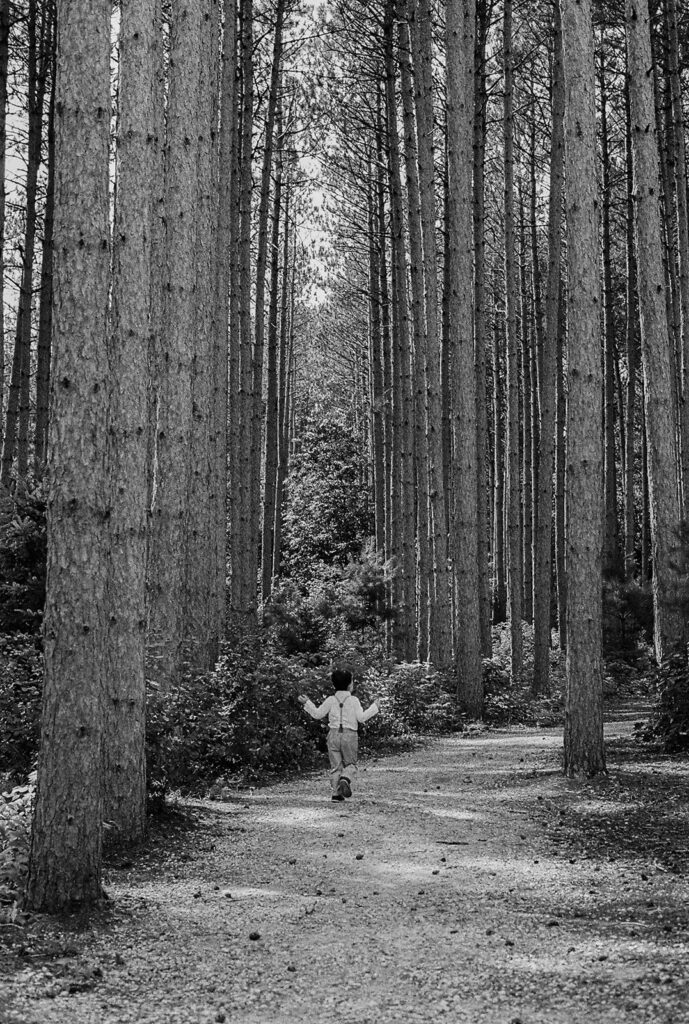 Little boy walks through the forest path alone.