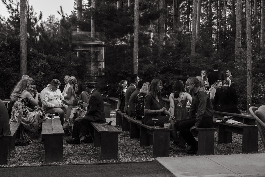 Guests settle into the forest ceremony space at Pinewood, sunlight flickering between the trees.